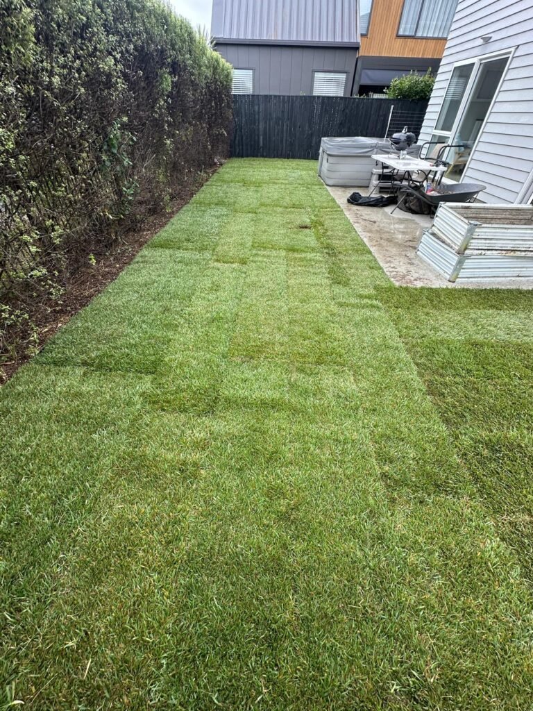 After the project completed