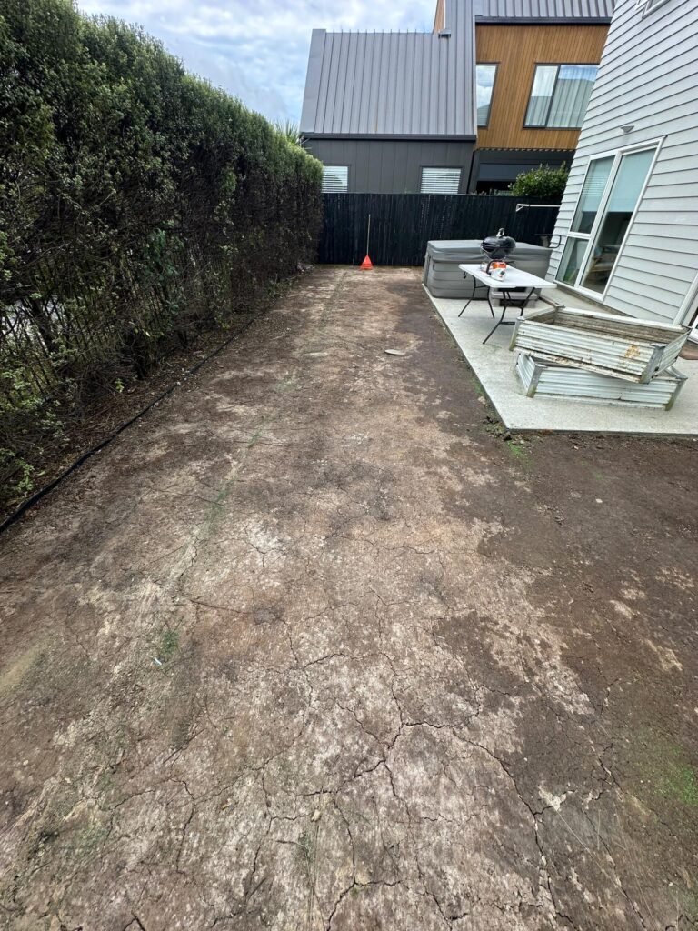 Before project started