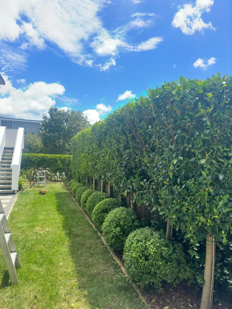 lawncare