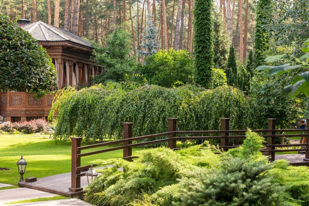Garden with green plants and trees on grass near wooden pathway and gazebo in sunny summer day